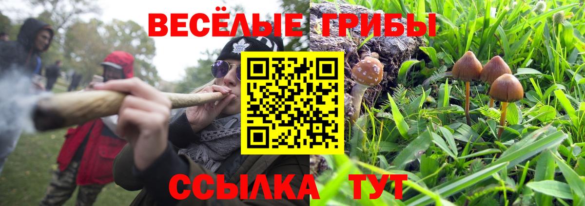 Сергиев Посад  Галлюциногенные грибы ЛСД  закладка  Вход с VPN 