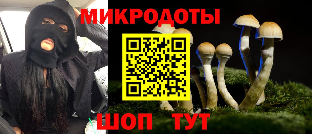 Галлюциногенные грибы Psilocybine cubensis Сергиев Посад